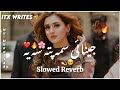 JENAI SAMA PATA SA YE Pashto New Gana 2023 Slowed Reverb