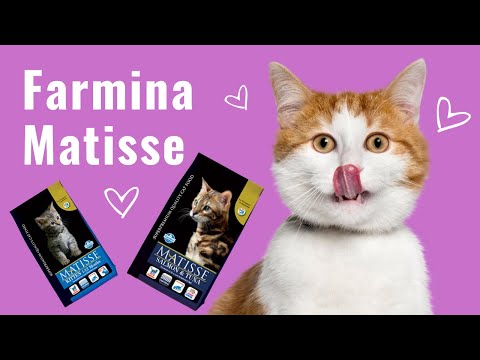Влажный корм Farmina Matisse Cat Mousse Chicken для взрослых кошек, с курицей, 85 г video