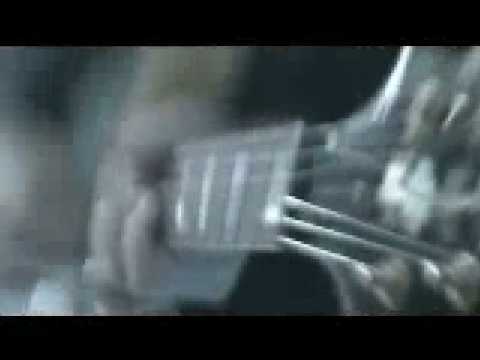 Red Light Company   - Scheme Eugene