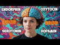 🔆The Quartet of Happiness: Endorphin, Dopamine, Oxytocin, and Serotonin🔆
