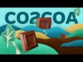 CO2COA Animal Free Chocolate