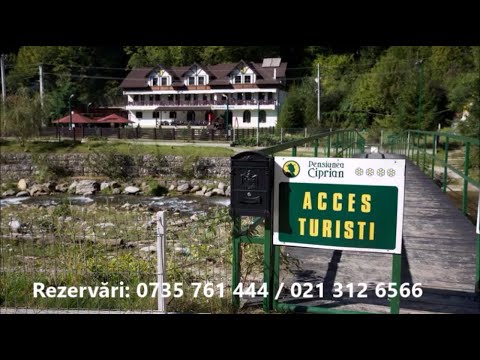 Pensiunea CIPRIAN - Brădetu - www.portaldecazare.ro