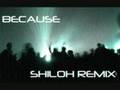 Because (Shiloh Remix) 