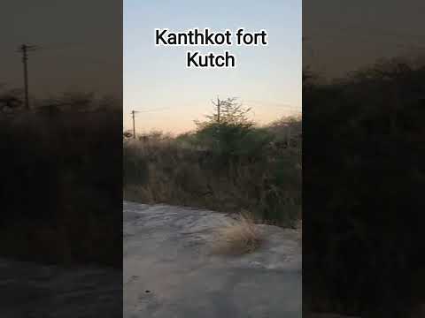 kanthkot fort kutch #fort #historicalplaces #heritage #shorts #viralvideo #trending #travelblogger
