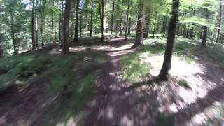 preview picture of video 'Forest of Dean Trails'