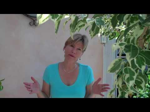 vioeasy Bürostruktur Tipp - Vorteile einer Wiedervorlage