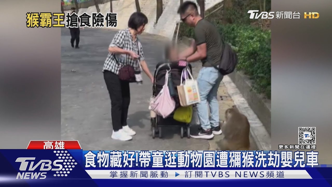 食物藏好! 家長帶童逛動物園遭獼猴洗劫嬰兒車