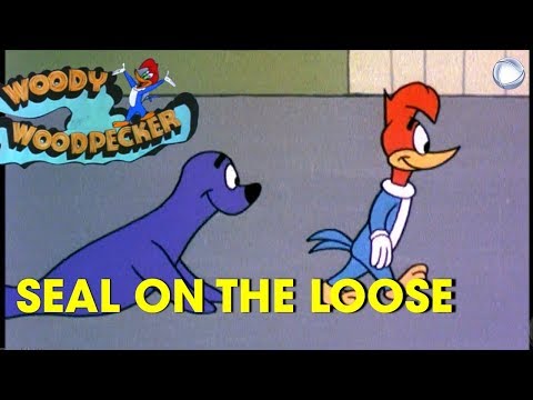 Woody Woodpecker in Seal on the Loose | A Walter Lantz Production