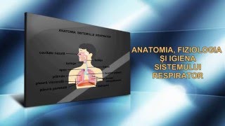 Sistemul respirator.