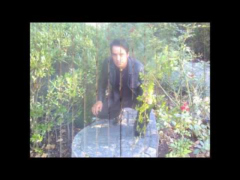 Ricardo peroti :Aunque no se donde estas