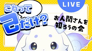 【これって己だけ？】お人間さんを知りたいのです【ルンルン/にじさんじ】