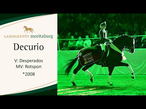 DECURIO v. Desperados - Rotspon