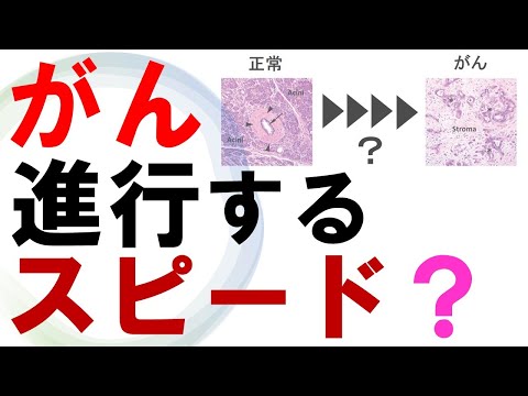がんの治療法:進行状況の検出を目的とした新しい血液検査