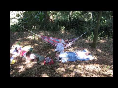 TRABALHO NA FLORESTA 25 AGOSTO 2013