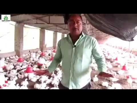 Chicks Energy Booster-TZ Syrup, Plastic Can, 1,5 L