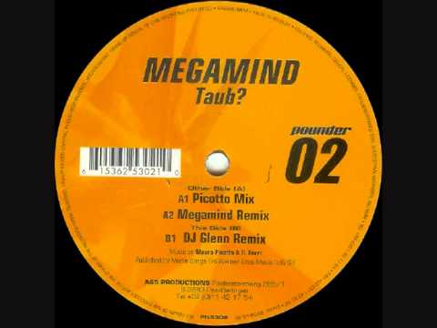 Megamind - Taub (Picotto Mix)