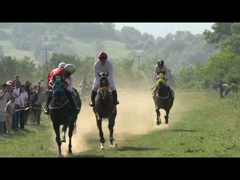 Gara e kuajve per nder te dites se qlirimit te dragashit 12.06.2025