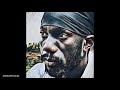 Sizzla Kalonji - Sufferation [Earthwide Sounds] Release 2020