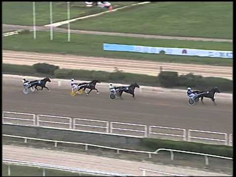 Trotto 09/09/2014 - 3° prova di riqualifica