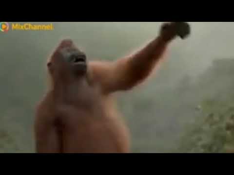 raka sidan-uyak utang