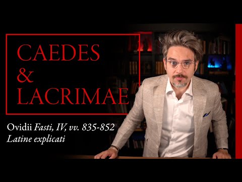 Did Romulus really kill Remus? | Ovid explained in Latin (Fasti IV, 835-852)