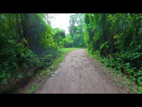 Calilegua -Jujuy - Argentina