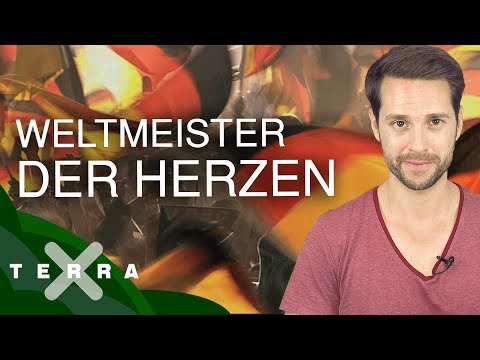 Sommermärchen 2006 – die Fussball-WM begeistert Deutschland