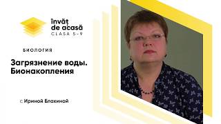 Загрязнение воды. Бионакопления