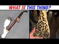 WHAT IS THIS MYSTERIOUS OBJECT YOU WON T BELIEVE WHAT IT S USED FOR R Whatisthisthing 53