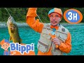 Blippi Catches A RARE Fish Blippi And Meekah Best Friend Adventures Educational Videos