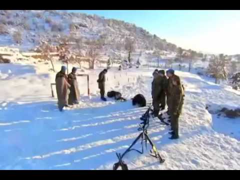 Kordon celil uzmanı öldüresiye döver