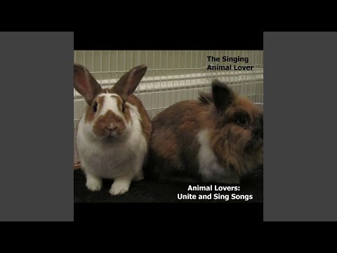 The Singing Animal Lover music, videos, stats, and photos 