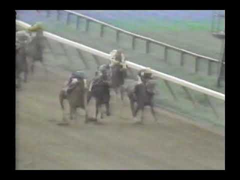 1990 Spinaway Stakes