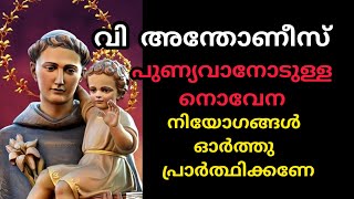 St Antony Novena October 21 Tuesday വി. അന്തോണീസ് പുണ്യവാന്റെ നൊവേന #stantony #kaloor #antony  #nove