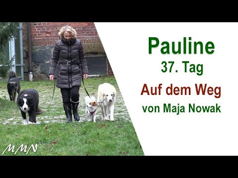 Auf dem Weg - Verlustangst- Pauline 37.Tag - von Maja Nowak
