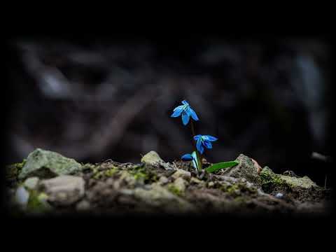 [Slowed + Reverb] my head is empty - i was only temporary