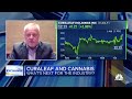 First step in legalizing marijuana is to make it safe for banking, Curaleaf CEO says