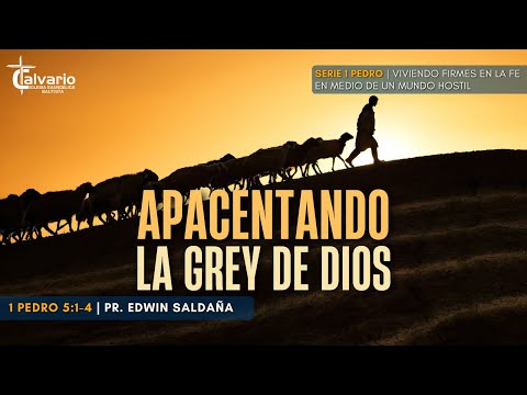 APACENTANDO LA GREY DE DIOS | 1 Pedro 5:1-4 | Pr. Edwin Stanley Saldaña  | PREDICACIONES CRISTIANAS