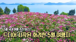 놓치면 후회할 실시간 5월 국내 여행지 추천 BEST 10 #여행추천 #국내여행