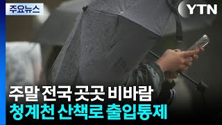[날씨] 밤사이 많은 비, 청계천 산책로 출입통제...강원 동해안 중심 '호우특보' / YTN