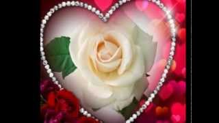 pooh una donna normale