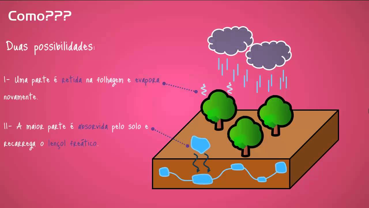 Geografia - Rios Voadores