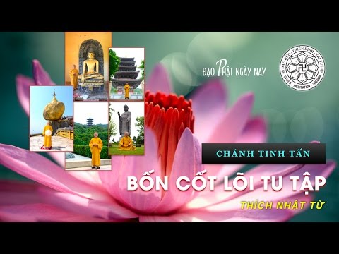 Bát Chánh Đạo 6: Chánh tinh tấn: Bốn cốt lõi tu tập (13/06/2010) Thích Nhật Từ