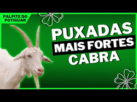 Puxada da Cabra - Jogo do Bicho