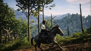 The Little Travelerโs Big Western Journey | RDR2 4K