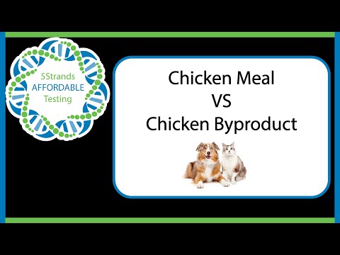 Chicken MEAL vs Chicken BYPRODUCT | What is the difference? | 5Strands FAQ