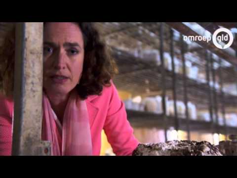 GEMAAKT IN GELDERLAND  2 mei 2016 - Omroep Gelderland