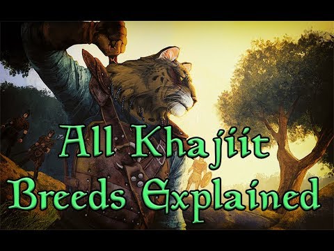 TES Lore: The 16 Breeds of Khajiit Explained!