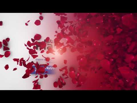 Studio Playsonic -2-LOGO- 2019