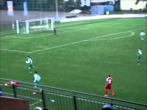 SEDZIOWIE JAROTA VICTORIA